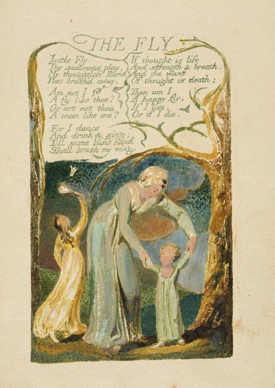 「Songs of Experience」の1794年版「The Fly」プレート47（水彩でカラー印刷されたレリーフエッチング） 作： William Blake